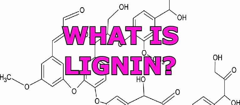 what is lignin