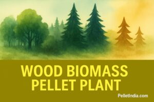 biomass traditional plant1x1024 1 300x200 1