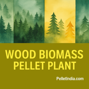 biomass traditional plant 300x300 1